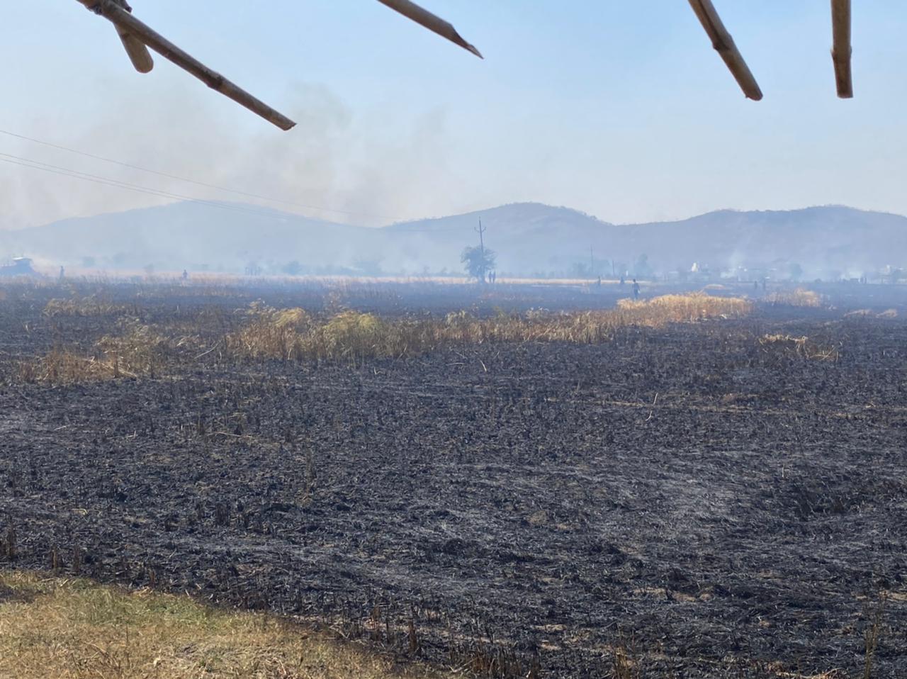 जिले आठ जगह लगी फसलों में आग, 70 एकड़ से अधिक की फसल जली