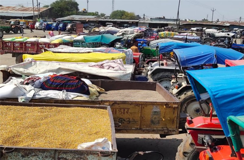 Mandi received more than one crore tax in the month of March