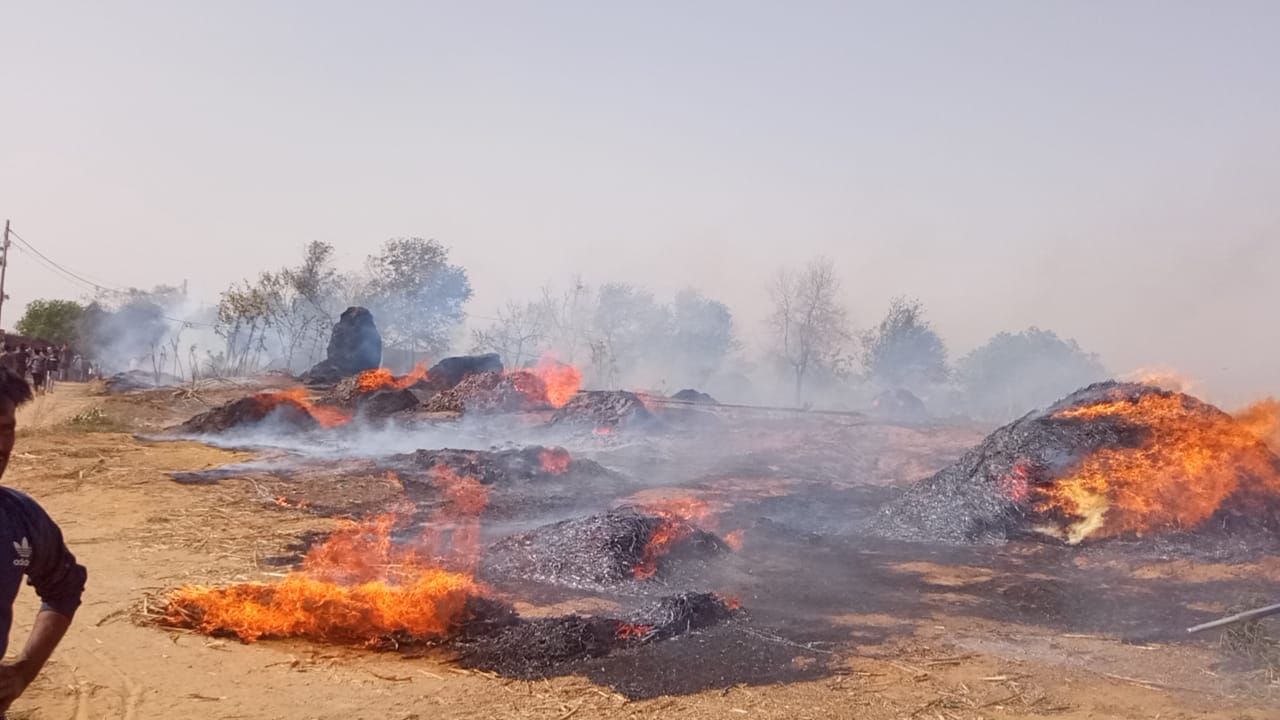 गांव में घरों में लगी आग, बेजुबान जिंदा जले
