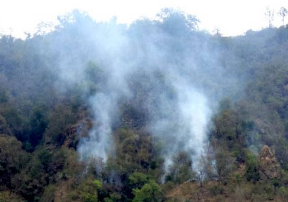 जंगल में भीषण आग, हवा के बहाव के कारण फैलती गई आग