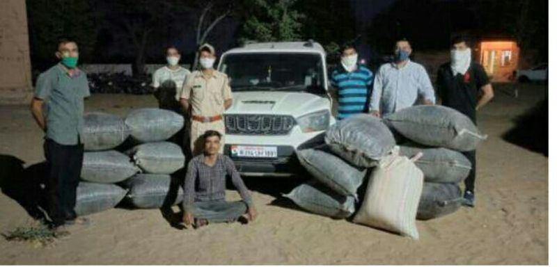 एसयूवी में 293 किलो डोडा पोस्त जब्त, एक गिरफ्तार