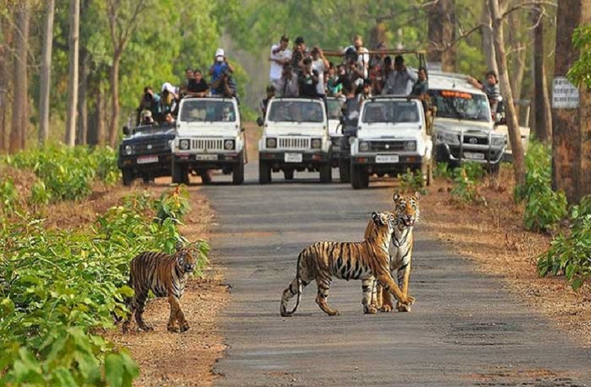 Rajasthan wildlife: राजस्थान में अब वन्यजीवों का दीदार होगा महंगा