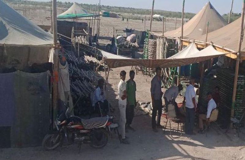 तिलवाड़ा मल्लीनाथ पशुमेला 7 से, कोविड नियमों की होगी पालना