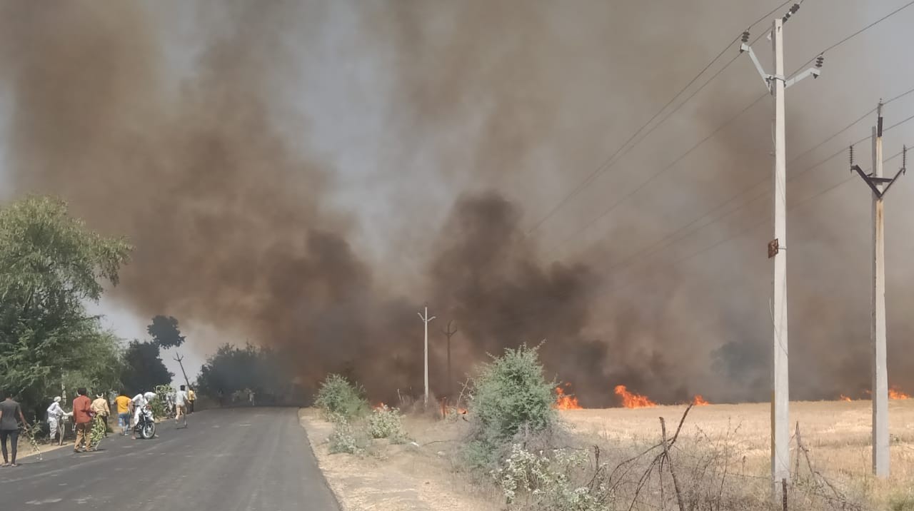 खेतों में लगी आग से जली गेहूं की खड़ी फसल आधा घंटे नेशनल हाइवे भी थमा रहा