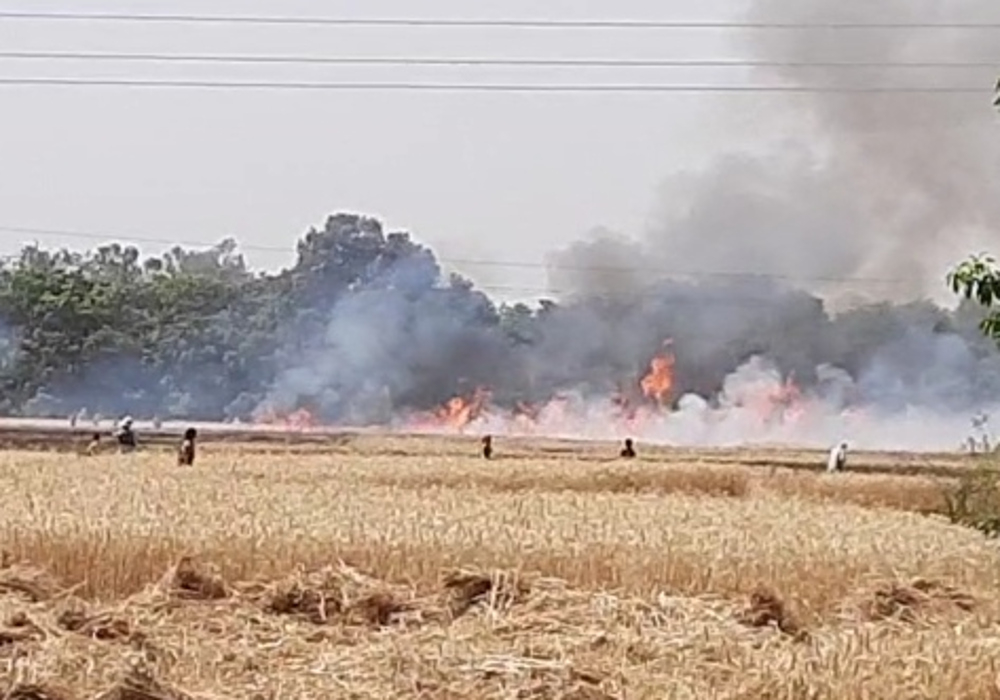 श्रावस्ती में आग से 230 बीघे गेहूं की फसल जलकर राख, दो किसान झुलसे