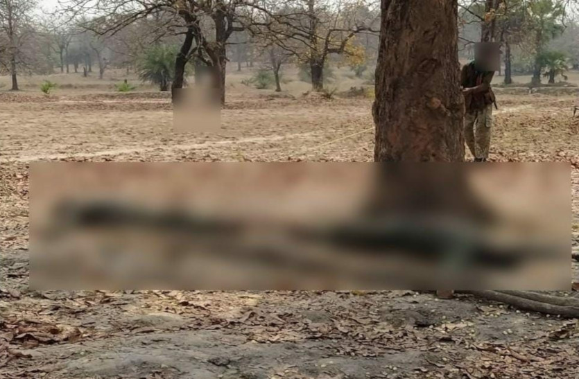 bijapur_naxal_news.jpg