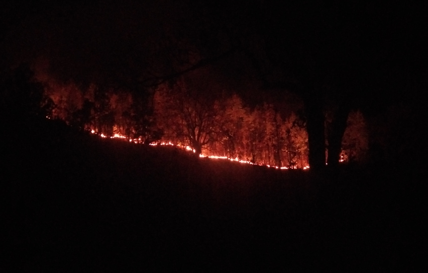 Video: 100 एकड़ जंगल में लगी आग, तेजी से चपेट में आ रहे पेड़-पौधे