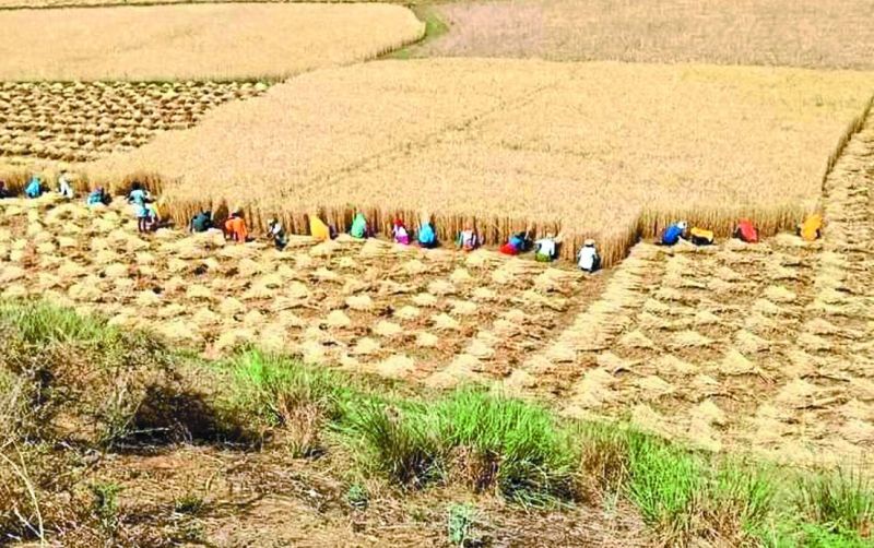 The Halma tradition continues even today