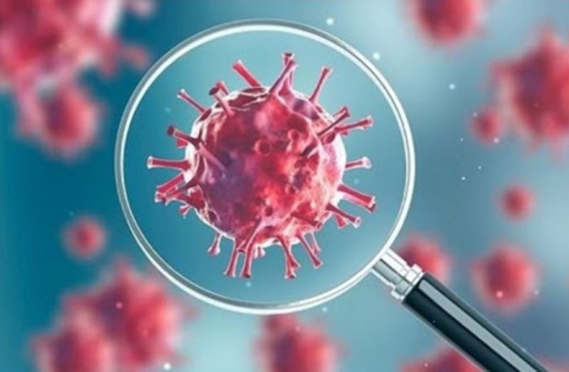 jaipur coronavirus cases today