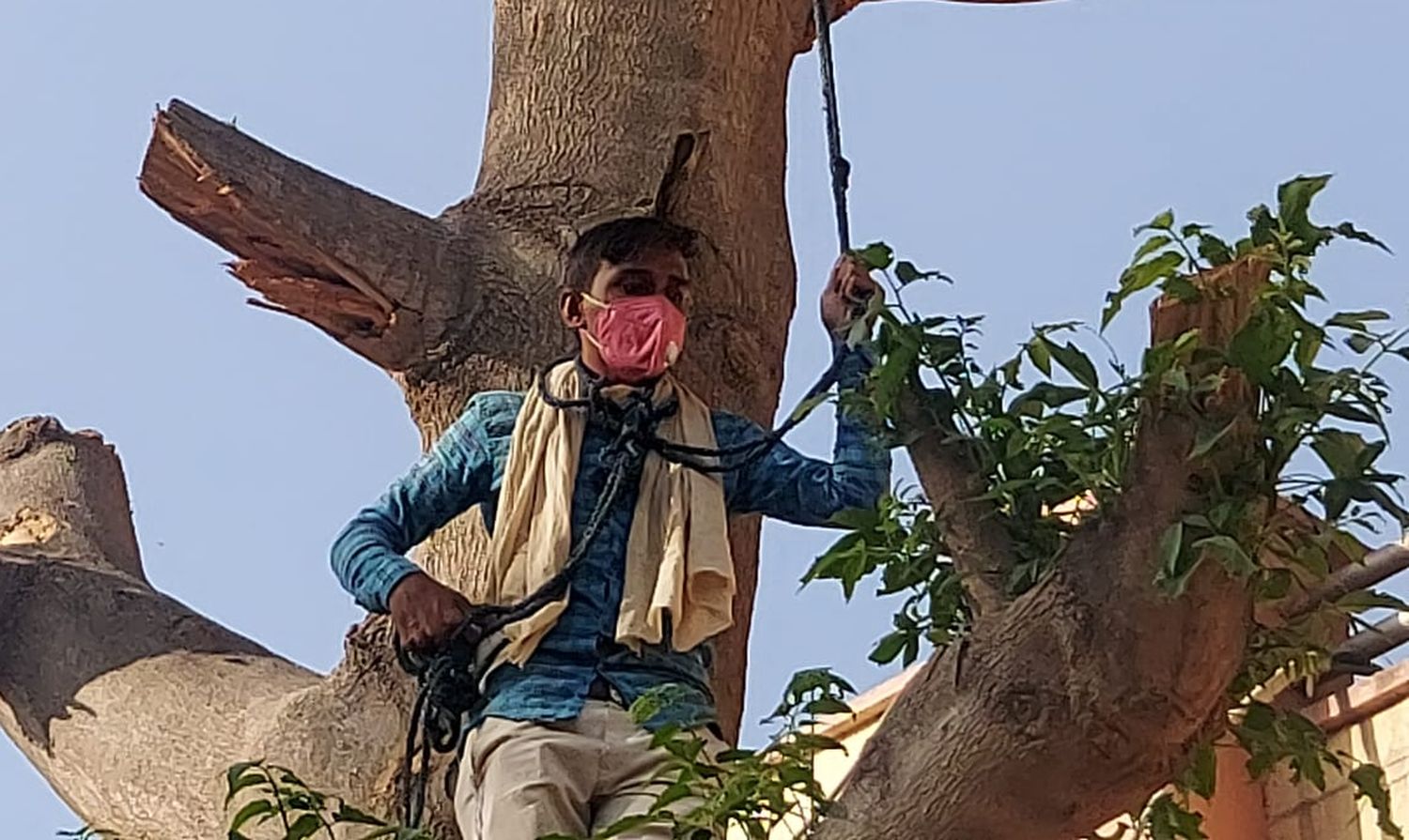 कोरोना गाइडलाइन की पालना करते हुए चढ़ा कलक्ट्रेट स्थित पेड़ पर, फांसी लगाने की दी धमकी