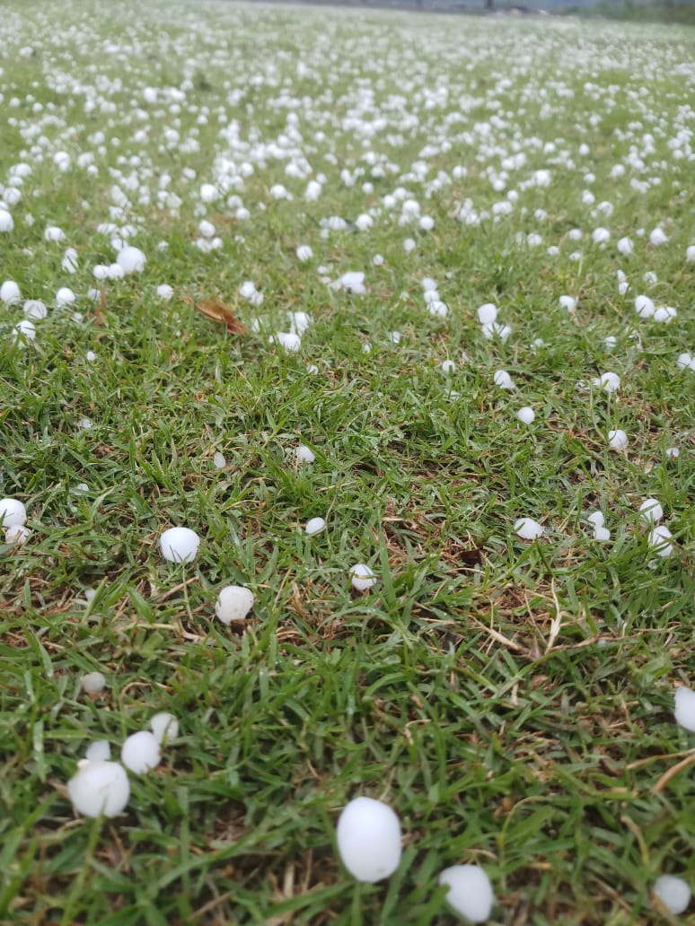 Rainfall in the rain from the sky, damage to crops due to hailstorm