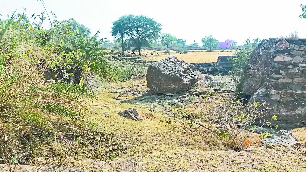 Hanuman Sagar pond is losing its existence