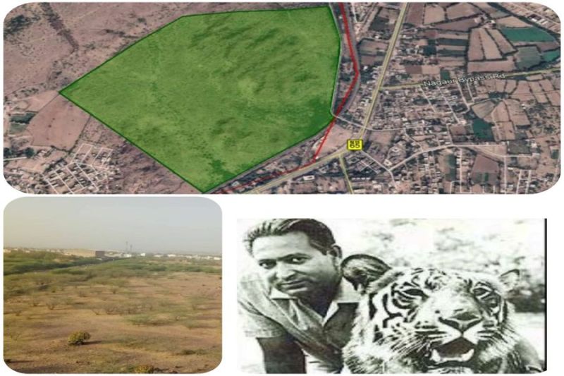 टाइगर मैन पद्मश्री डॉ कैलाश सांखला स्मृति वन के लिए भूमि चयन पर मुहर