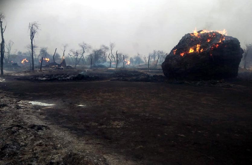 चौबीस घण्टे बाद पाया आग पर काबू, 5 करोड़ रुपए से अधिक का हुआ नुकसान