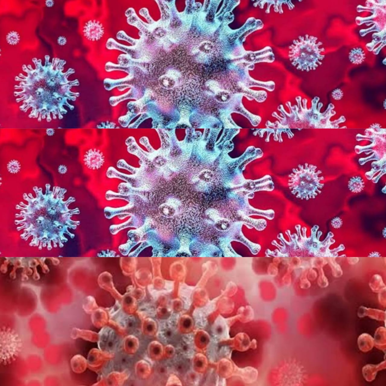 कोरोनावायरस संक्रमण - आज हुई 7 की मौत 300 से ऊपर आए संक्रमित