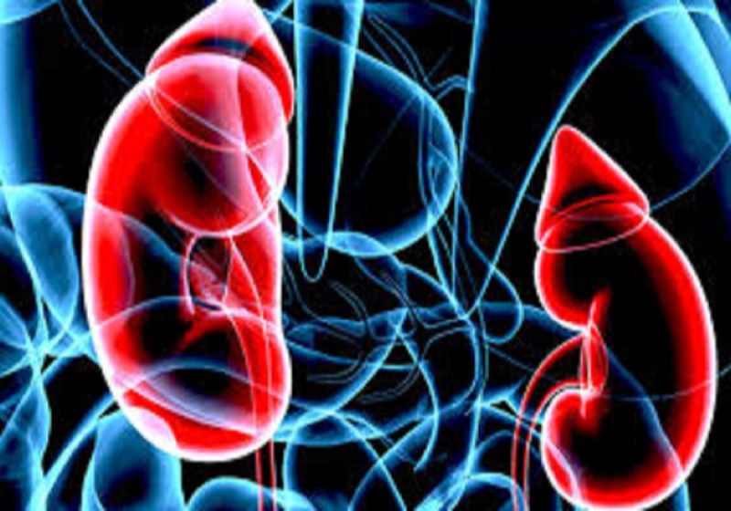 युवक कराने गया था आंत का ऑपरेशन, निकाल ली गईं उसकी किडनी, कोरोनाकाल में इस केस ने मचाया हड़कंप