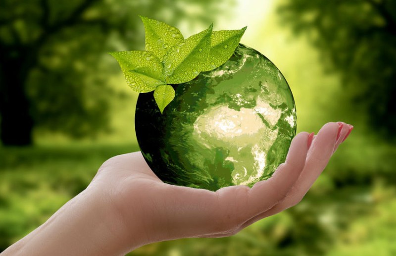 World Earth Day 2021