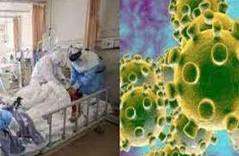 corona surguja report