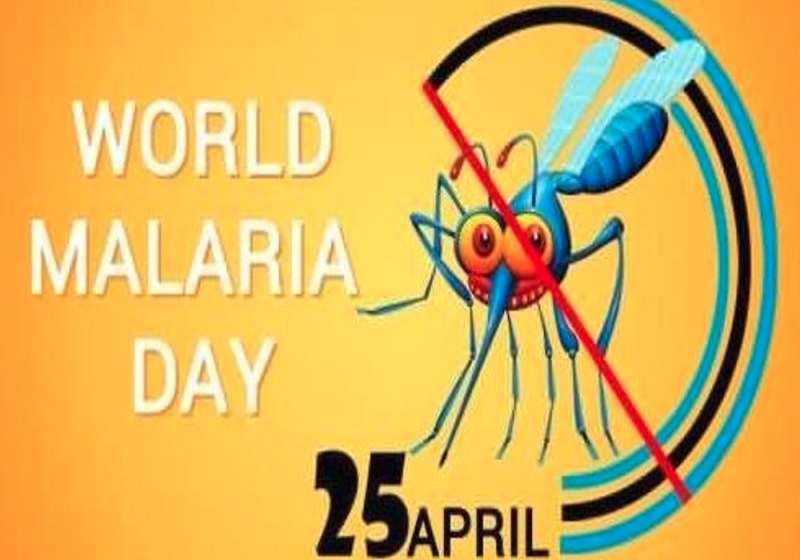 World Malaria Day