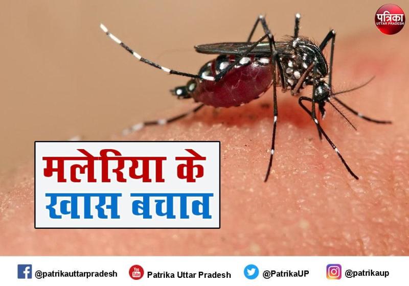 जरूरी प्रोटोकाल अपनाएं - मलेरिया से अपने को बचाएं : डॉ. त्रिपाठी