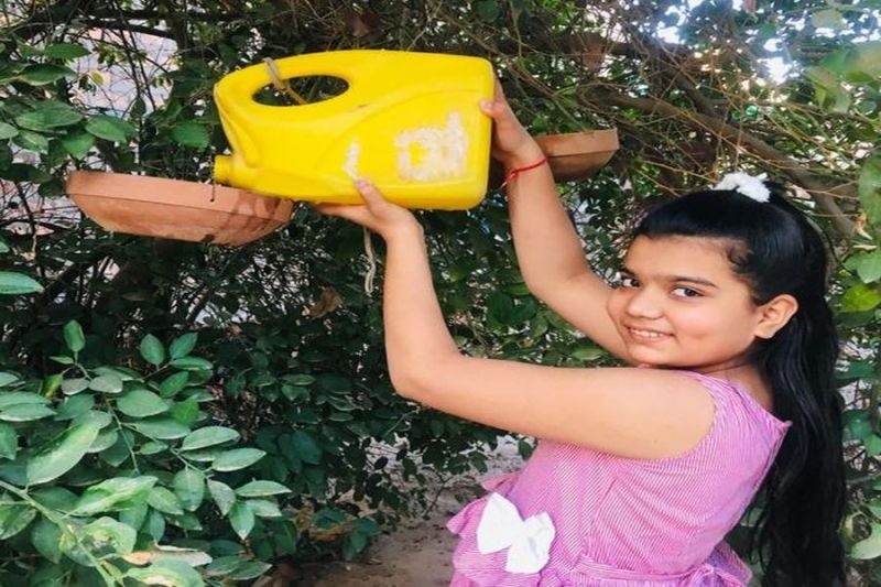 पक्षियों के दाना -पानी का इंतजाम करने में जुटे बच्चे और युवा