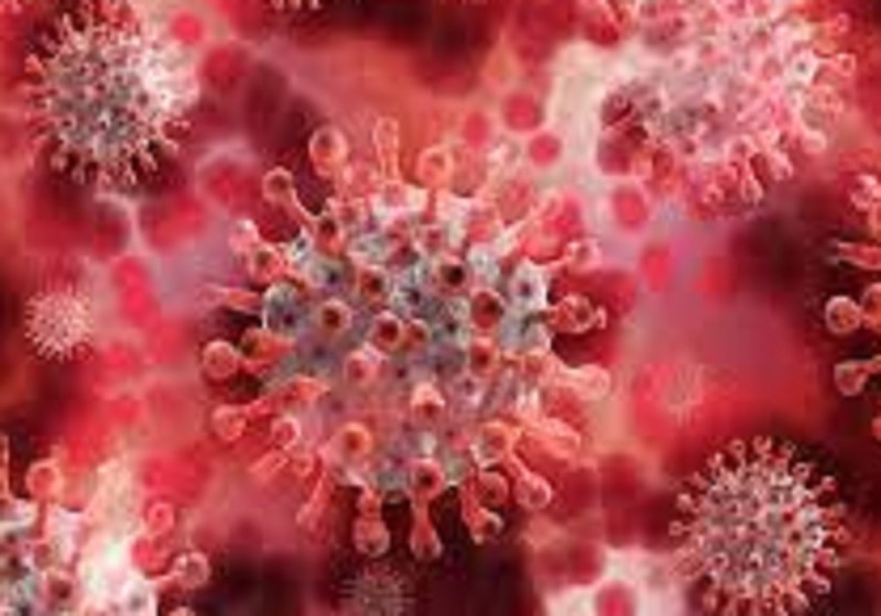 कोरोना का कहर : पंचायत चुनाव में ड्यूटी करने वाले 550 शिक्षकों की कोरोना से मौत, शिक्षक महासंघ का दावा