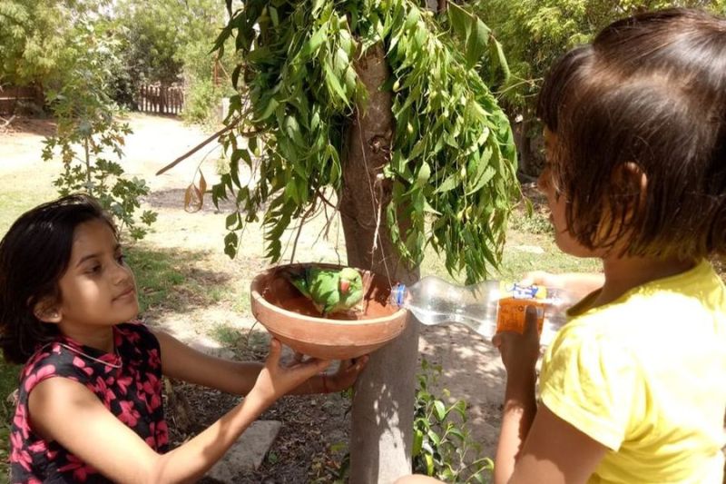 बच्चे भी बने पक्षी मित्र