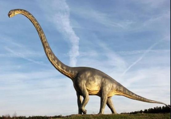100 million years back the Bones of sauropod Dinosaurs discovered from Meghalaya 