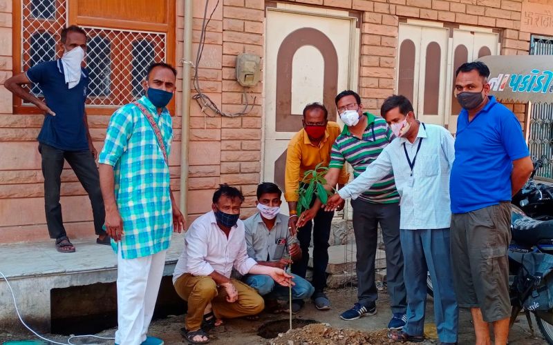 एक घर, एक पौधा अभियान के तहत पौधरोपण