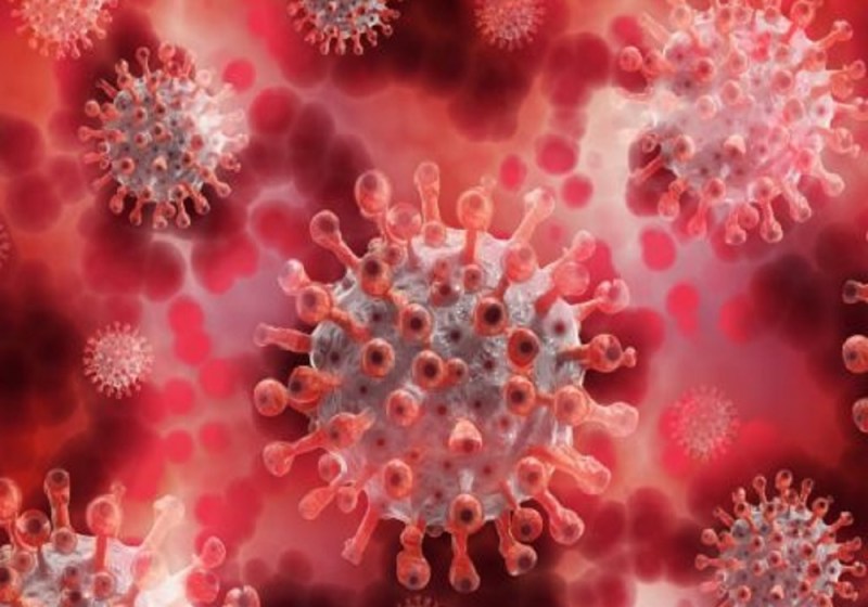 मिसाल : किसी ने सब्र और किसी ने दृढ़ इच्छाशक्ति से कोरोना को हराया