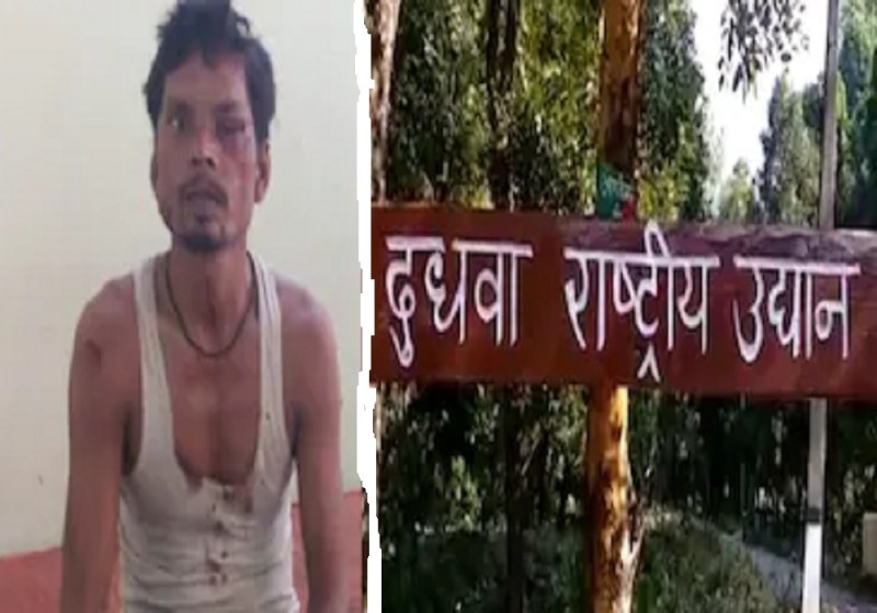 बाघ हमले में युवक घायल, जांच हुई तो निकाला कोरोना पॉजिटिव, मचा हड़कम्प