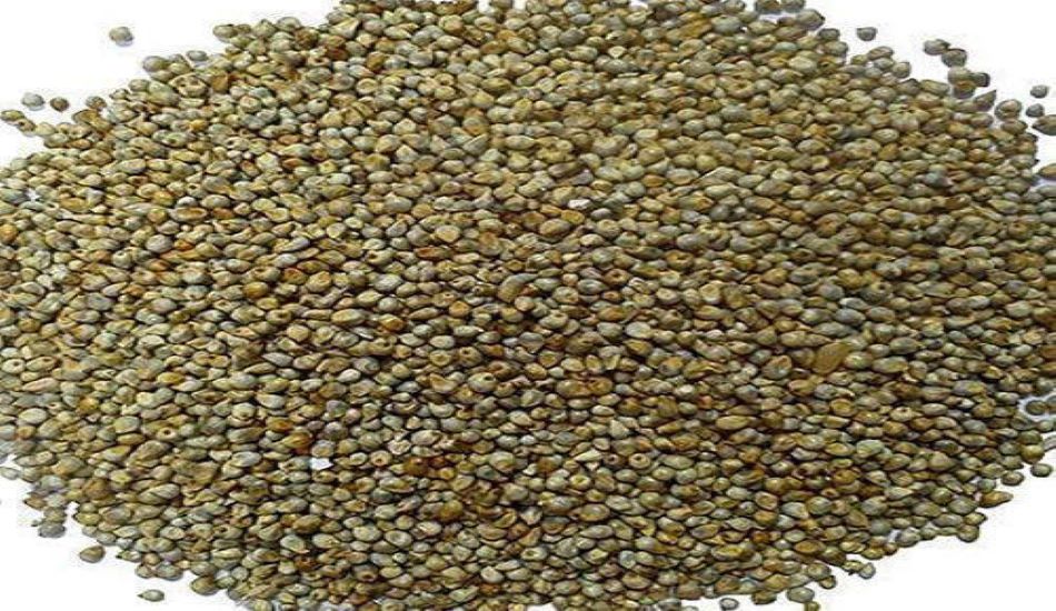CORONA: बुवाई में बाधा नहीं बनेगा लॉकडाउन