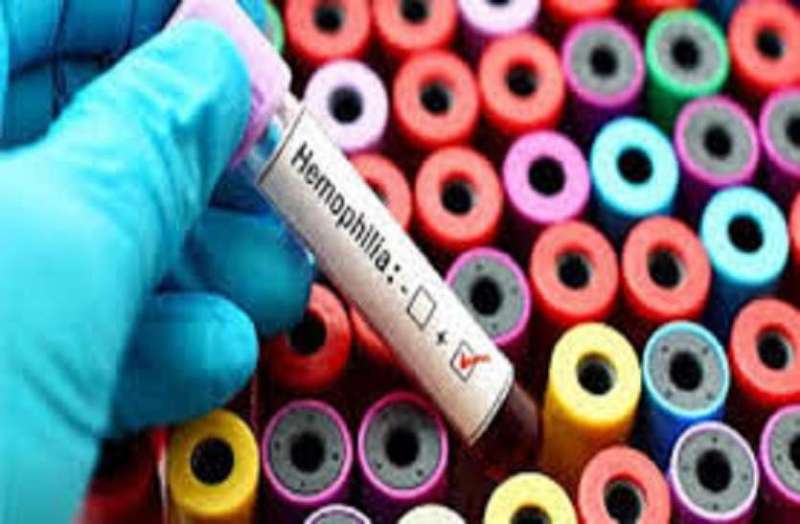 इनके बहते खून और दर्द को महसूस करने वाला तक कोई नहीं