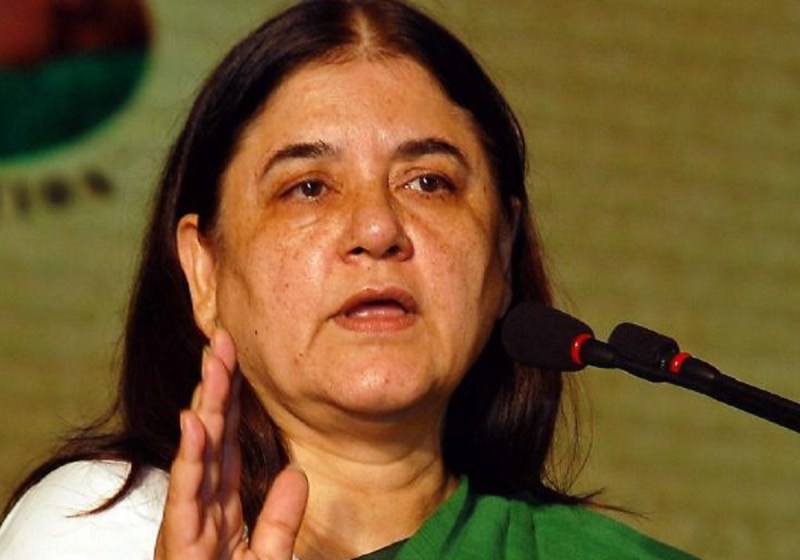 सांसद मेनका गांधी हुई कोरोना वायरस संक्रमित