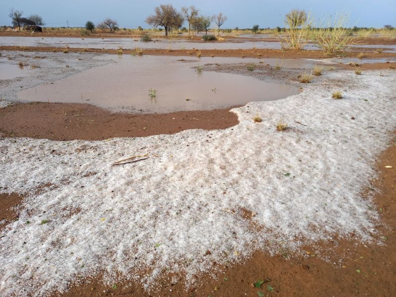 Video: परमाणु नगरी पोकरण क्षेत्र में बारिश के साथ गिरे ओले