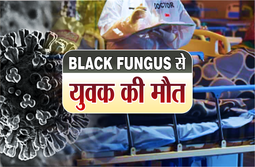 black_fungus.png