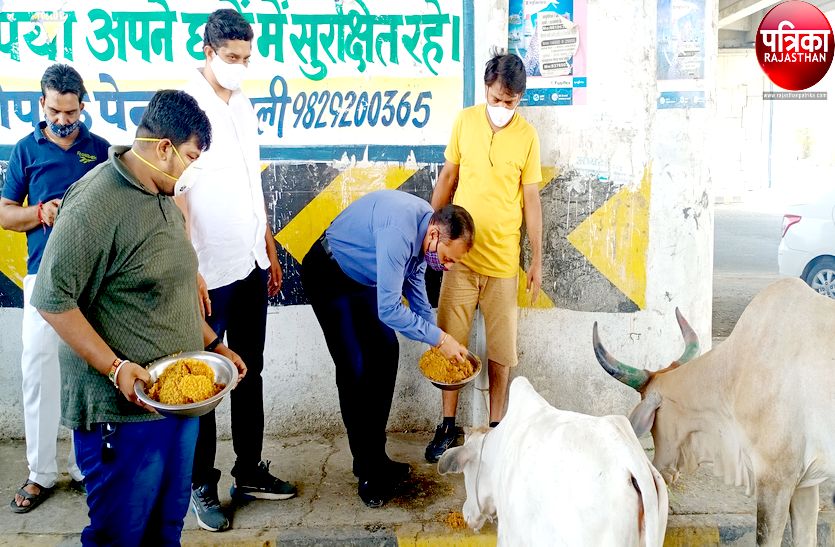 VIDEO : यहां मूक पशुओं की सेवा कर मनाई परशुराम जयंती