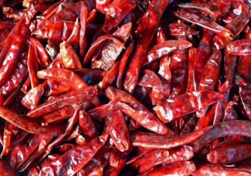 Quick Read: आंख में लाल मिर्च डालकर कर दी परिवार की पिटाई, दर्द और छटपटाहट के बीच चले हॉकी-डंडे