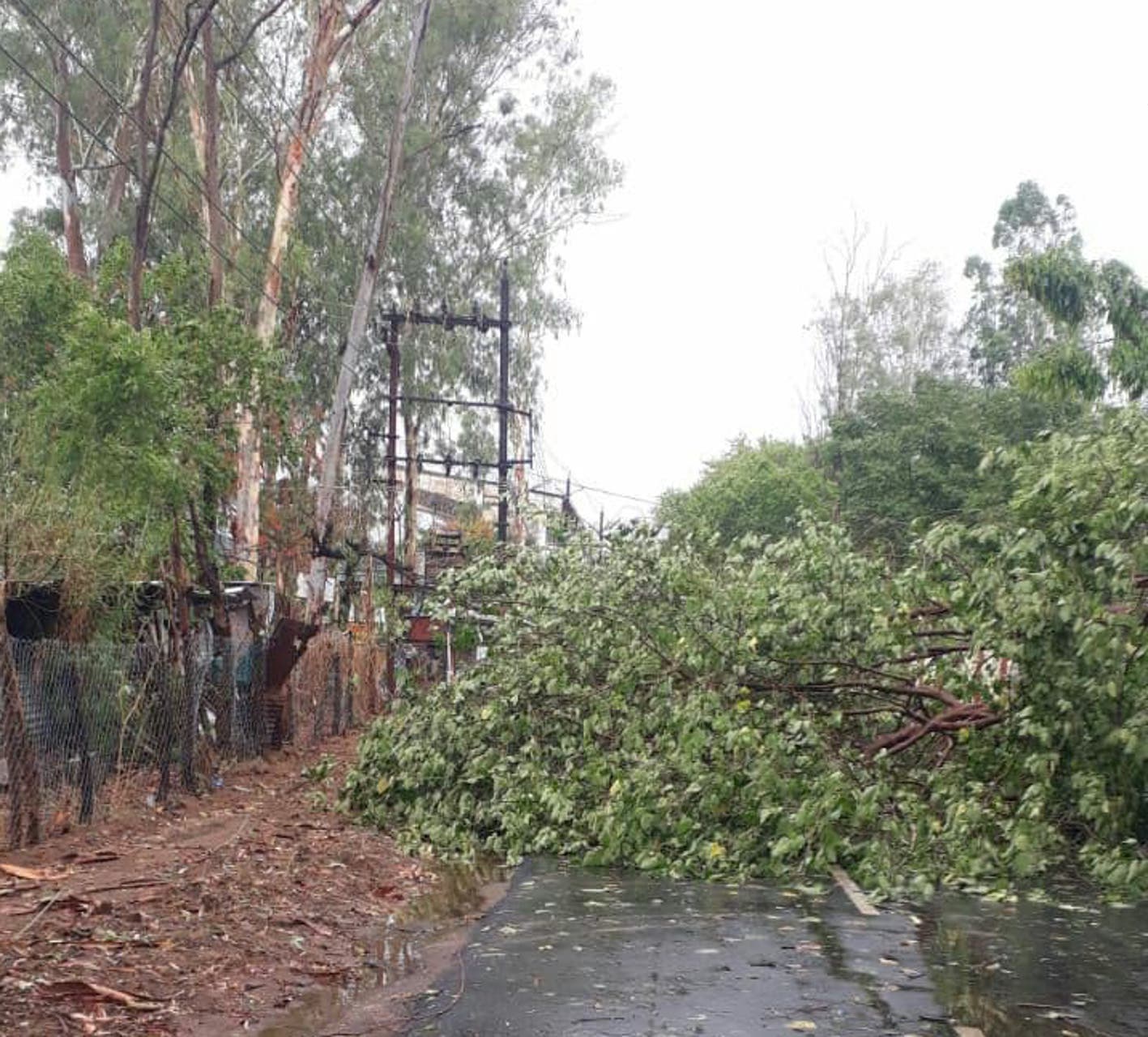 18 poles damaged in the district due to strong wind and rain