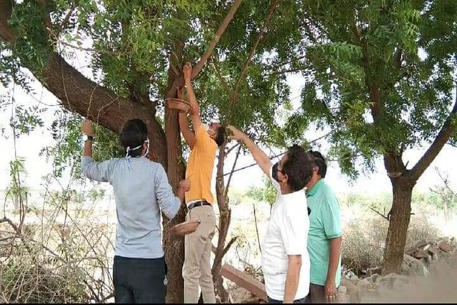 परिण्डे लगाकर लिया नियमित देखरेख का जिम्मा