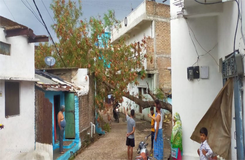 Electrical wire in a storm, tree fell on the wall