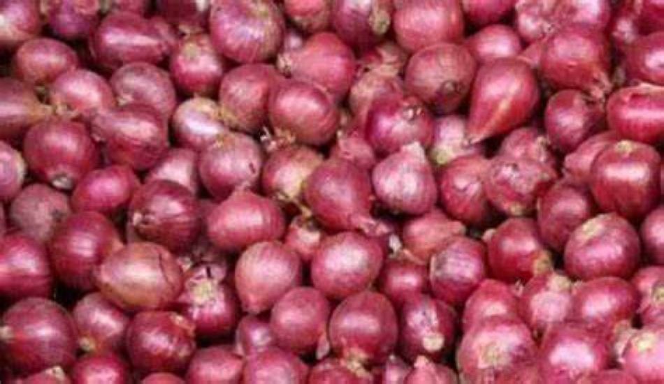 प्याज कटाई: - वर्षो बाद किसानों को मिल रहे लागत से अधिक भाव