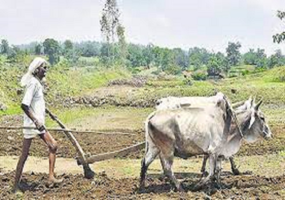 Good News: किसानों को सरकार ने फिर दी बड़ी राहत, छूटे किसान करें ऑनलाइन आवेदन, इन अपात्रों को नहीं मिलेगा लाभ