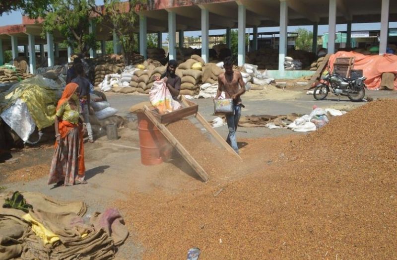 मई माह में झुलसाने वाली धूप रहती है,लेकिन इस बार बारिश हुई तो मंडी में भीग गई हजारों बोरियां