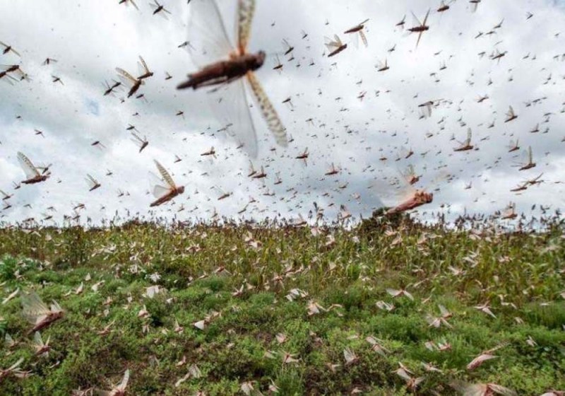 प्रतीकात्मक फोटो