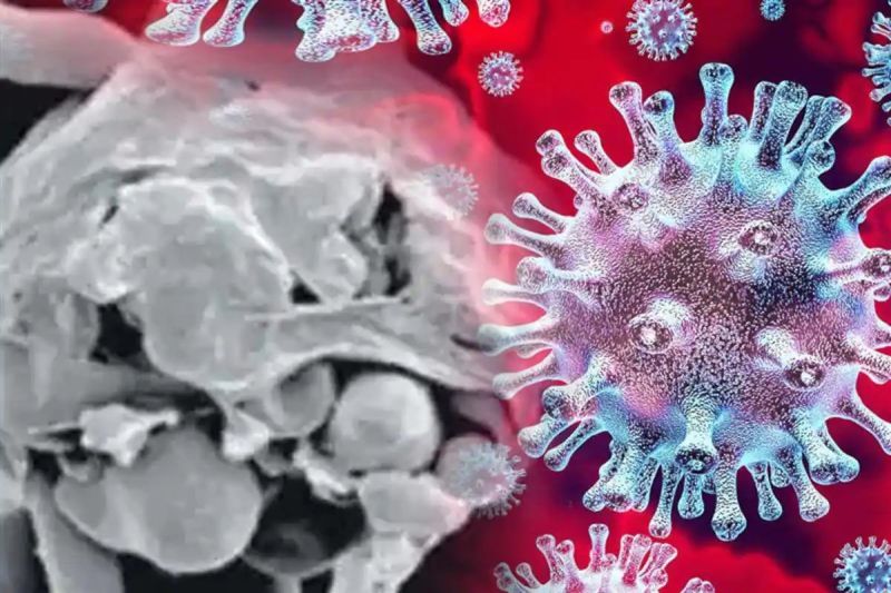 व्हाइट फंगस के बारे में ये बातें ज़रूर जान लें