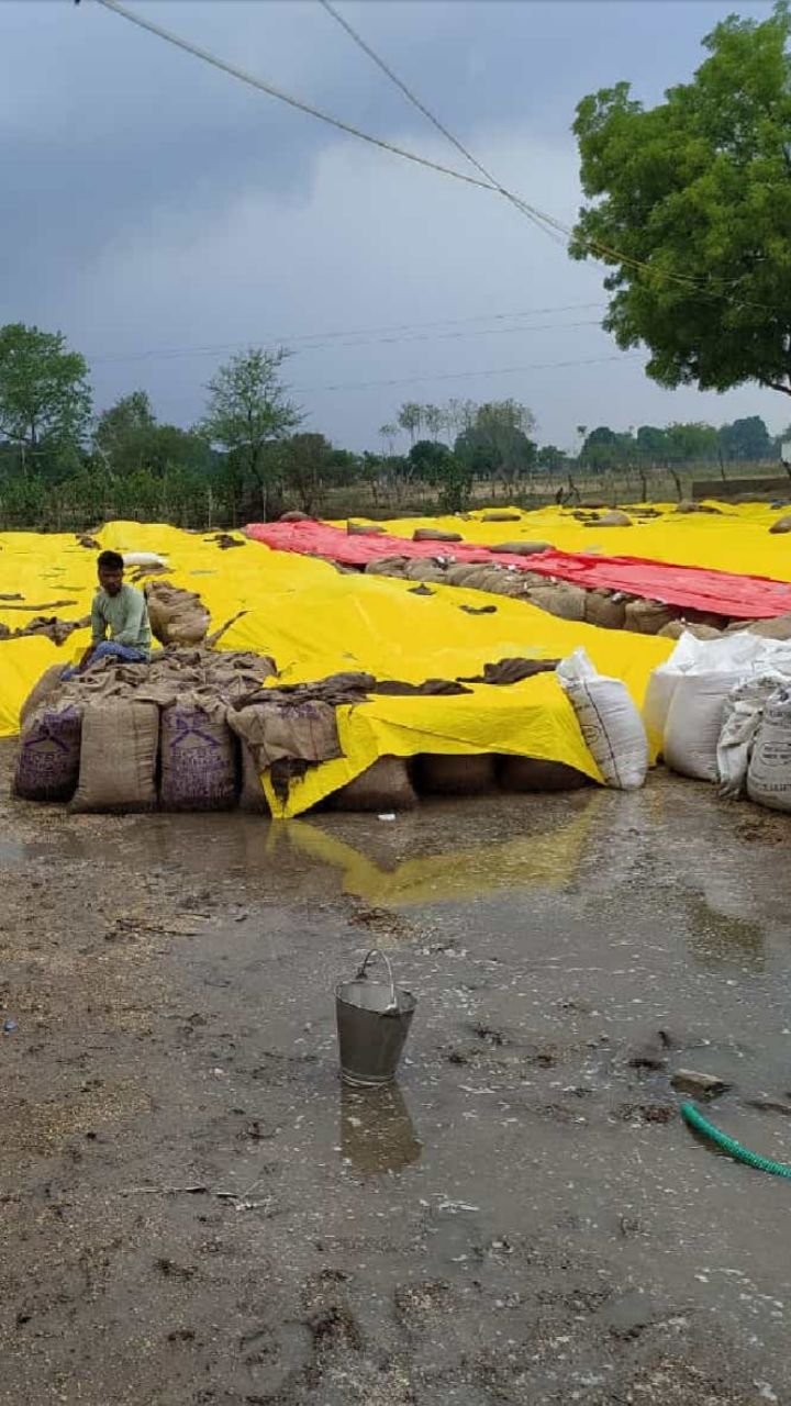 Civil Supplies Corporation, Ware House and Marketing Association