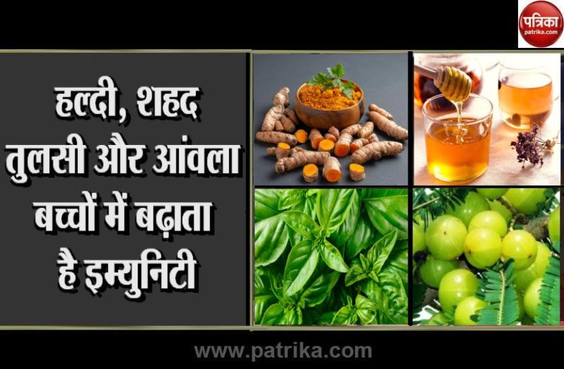 Turmeric, honey, basil and amla increase immunity power