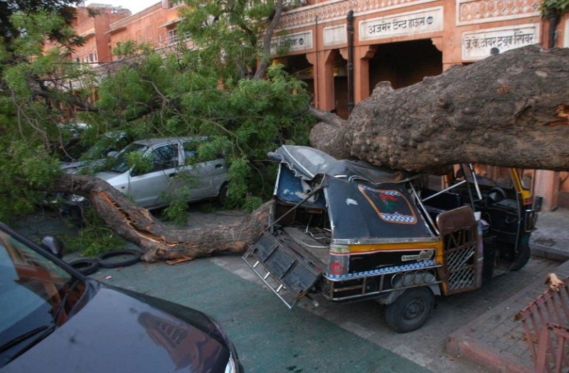 किशनपोल बाजार में पेड़ गिरने से क्षतिग्रस्त वाहन।