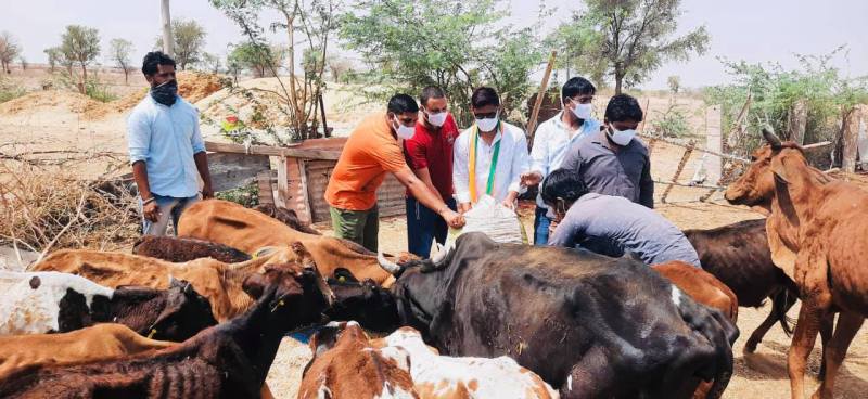 गायों को खिलाया गुड व चारा, जरुरतमंदों को वितरित किए राशन किट